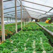 The Military Corporate Agricultural Effort is Launched