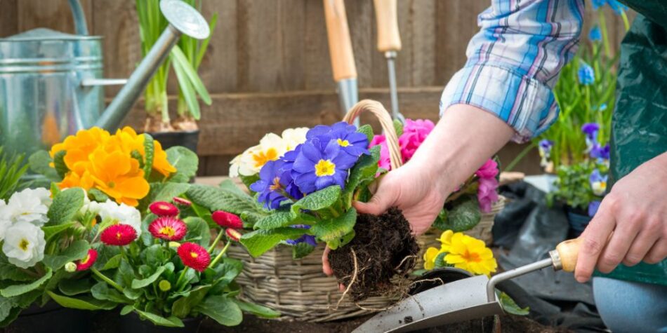 Top 5 Benefits of Gardening