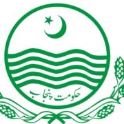 Nearly 2,500 government jobs are eliminated in Punjab