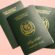 Government Reinstates SMS Service for Streamlined Passport Tracking