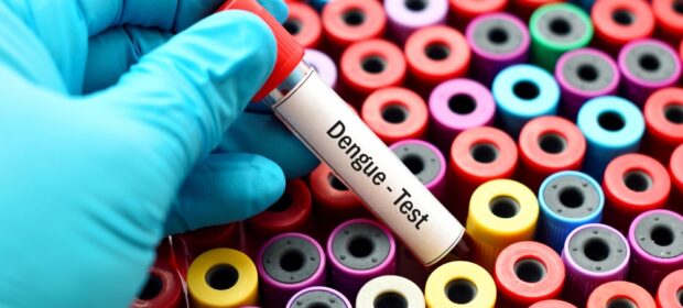 Dengue cases surge in Punjab with 172 new infections reported in 24 hours