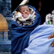 Gaza government confirms 1,091 babies dead in ongoing Israeli onslaught