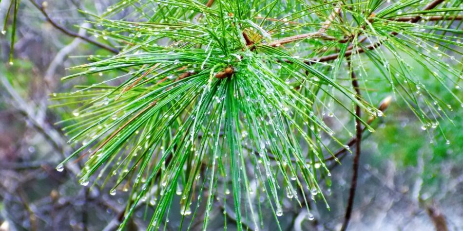 Karachi braces for cold spell as rain system approaches