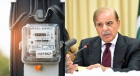 PM Shehbaz eyes lower electricity costs for economic growth